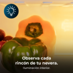 Frigorífico dos puertas - CECOTEC Bolero CoolMarket 2D Origin 86 Green E, Altura 893 mm, Capacidad 86 l, 300 - Imagen 3